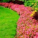 Affordable landscape installation for beautiful yards in Battle Lake, MN by Brian's Lawn Care
