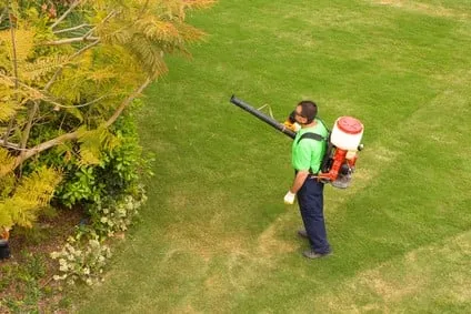 Professional lawn care service in Battle Lake, MN - Brian's Lawn Care