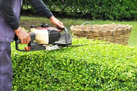 Top-rated outdoor landscaping in Battle Lake, MN by Brian's Lawn Care