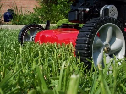 Trusted garden landscaping for outdoor upgrades across Battle Lake, MN - Brian's Lawn Care