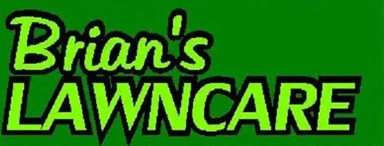 Top-rated yard cleanup service for year-round maintenance across Camden Wyoming, DE - Brian's Lawn Care