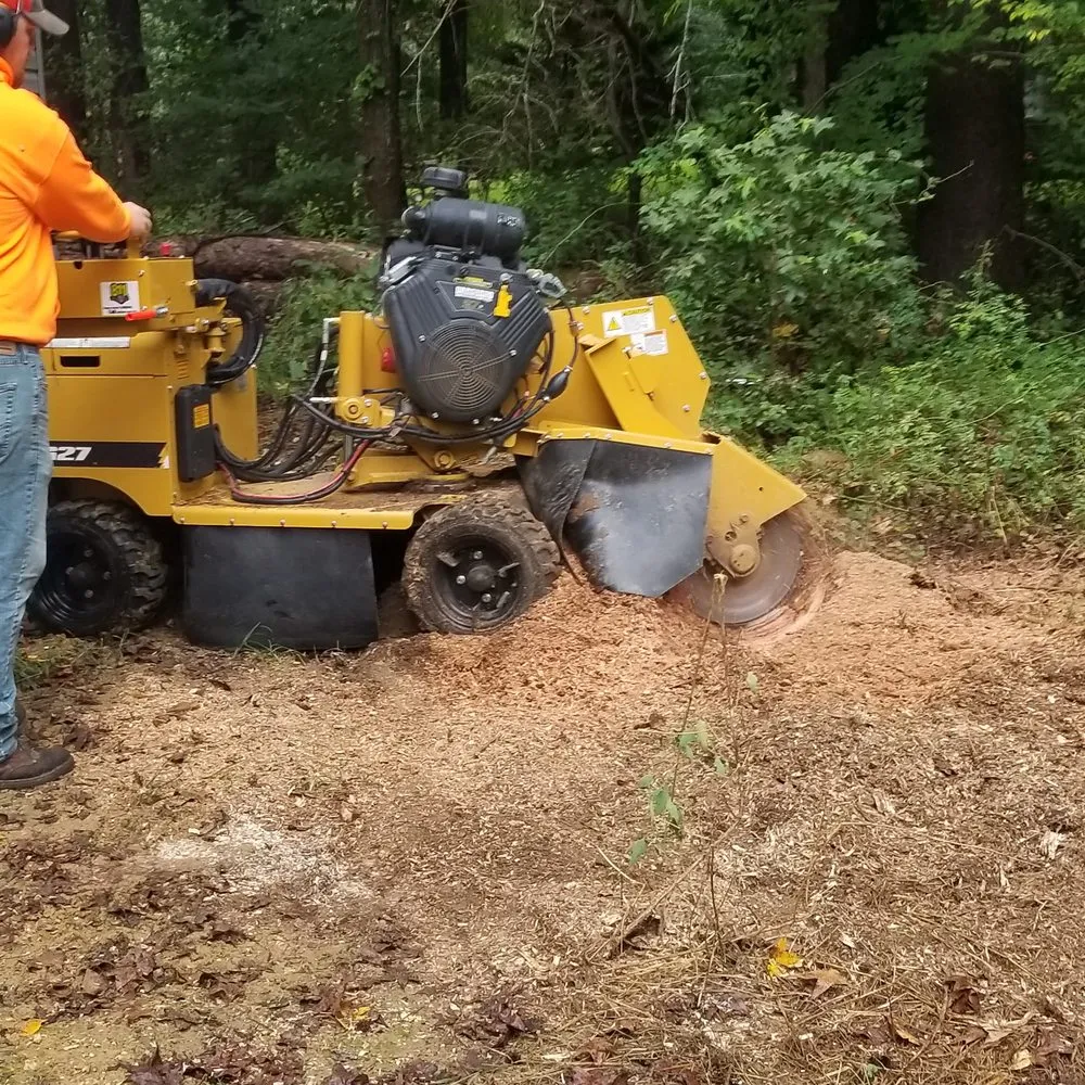 Affordable residential landscaping in Elkton, MD - Brian's Lawn Care Service