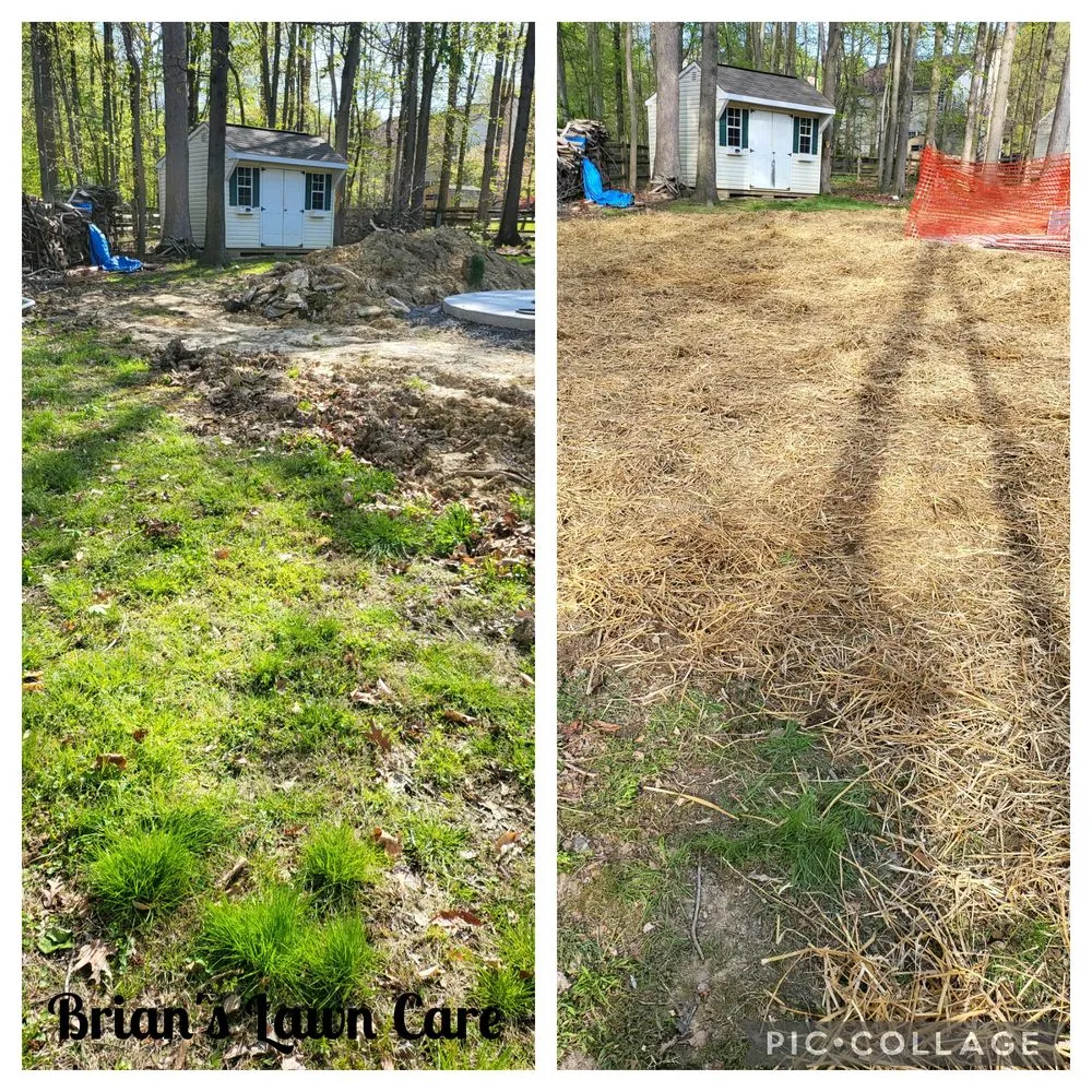 Professional yard cleanup service experts serving Elkton, MD - Brian's Lawn Care Service