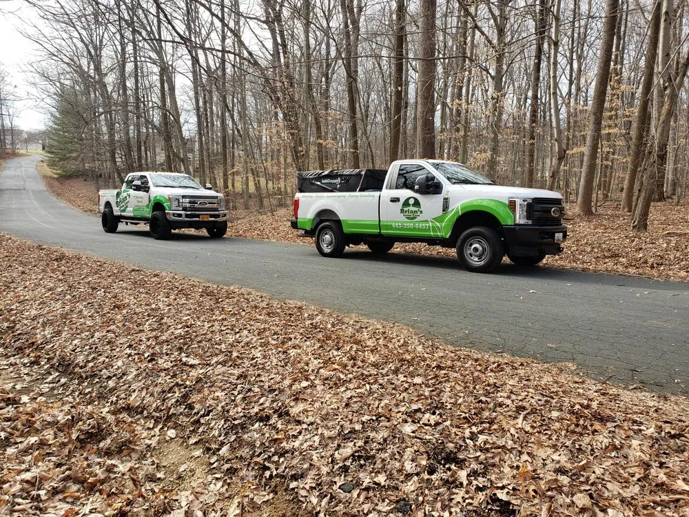 Local landscaping services in Elkton, MD by Brian's Lawn Care Service