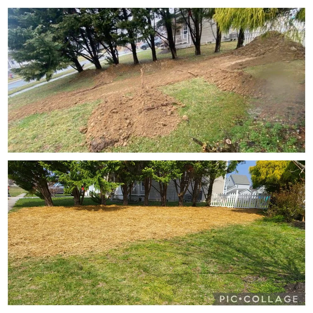 Trusted yard maintenance in Elkton, MD by Brian's Lawn Care Service