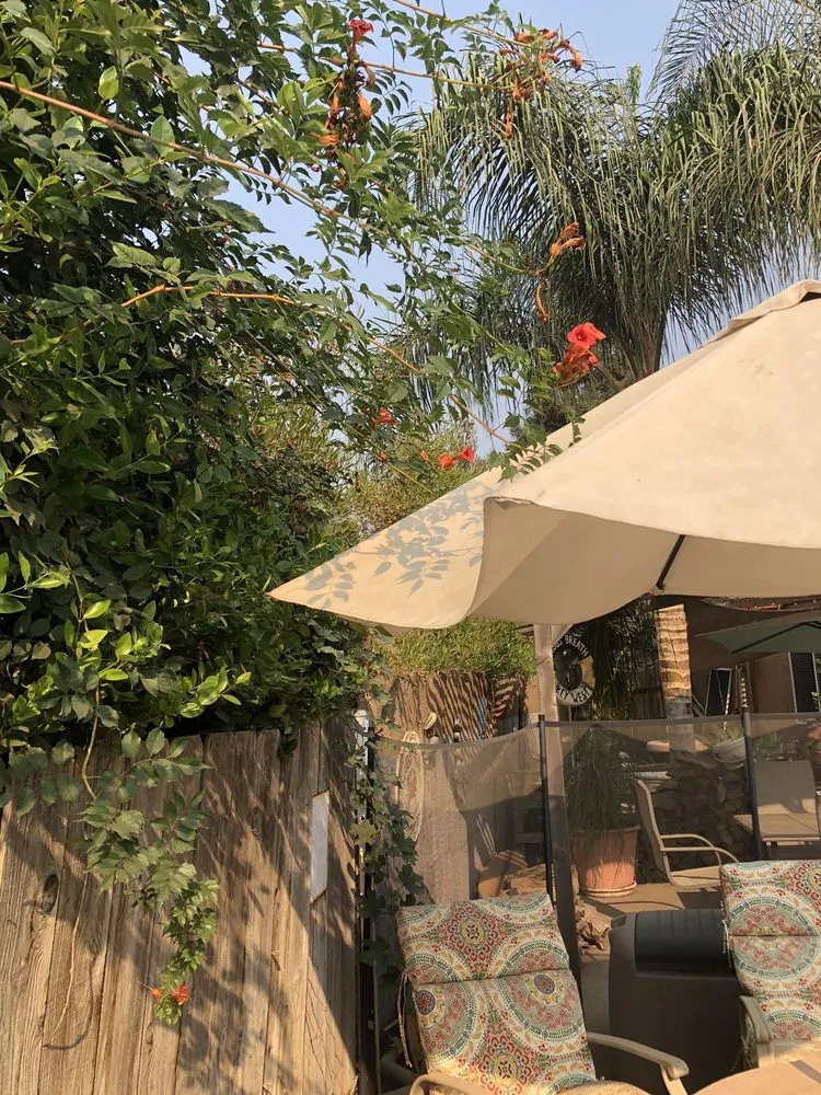 Expert landscape installation in Visalia, CA by Brian's Lawn Maintenance