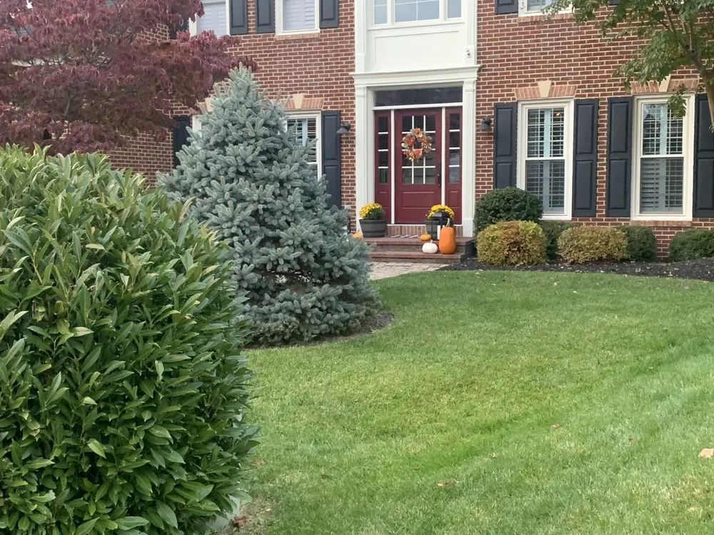 Expert landscape design for year-round maintenance across Frederick, MD - Brian’s Lawn Service