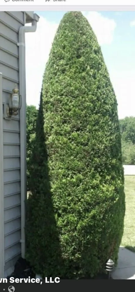 Expert outdoor landscaping for year-round maintenance in Frederick, MD by Brian’s Lawn Service