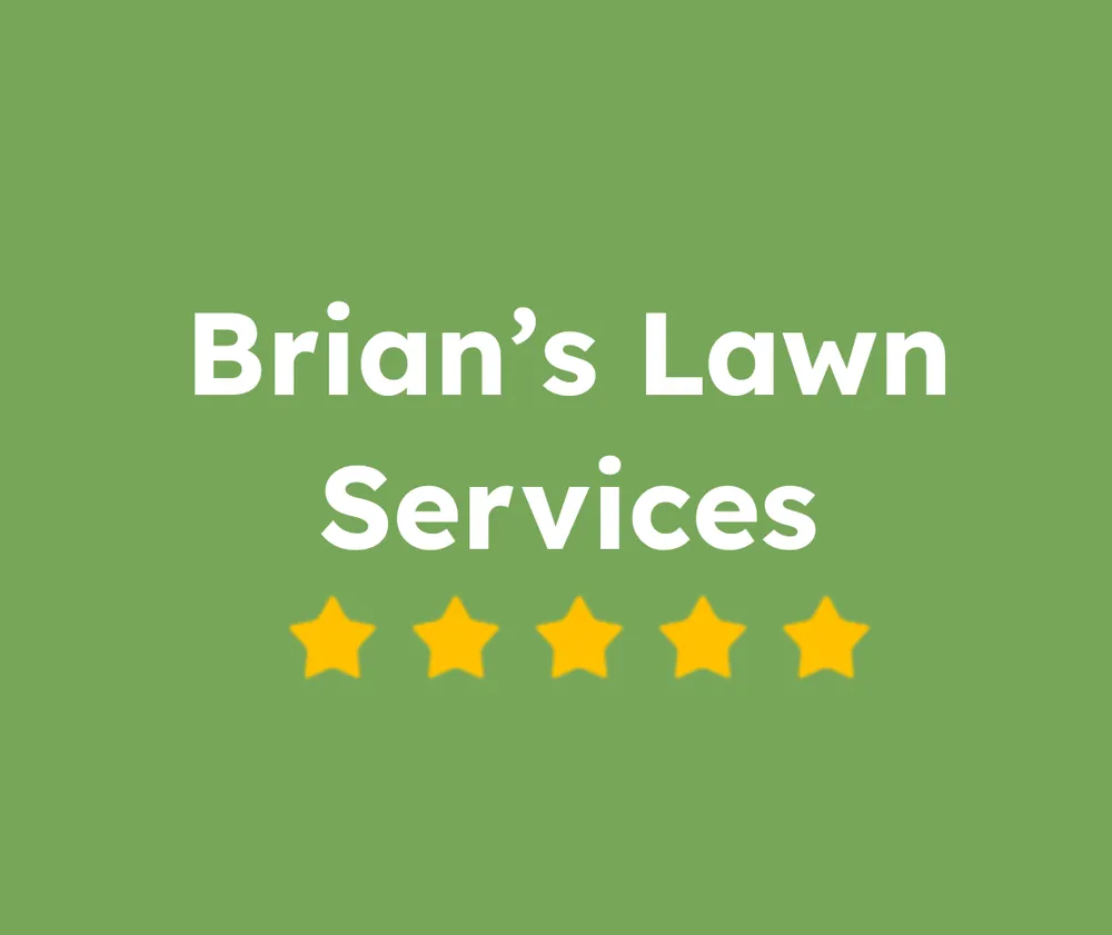 Expert landscape installation experts serving Aloma, FL - Brian’s Lawn Services