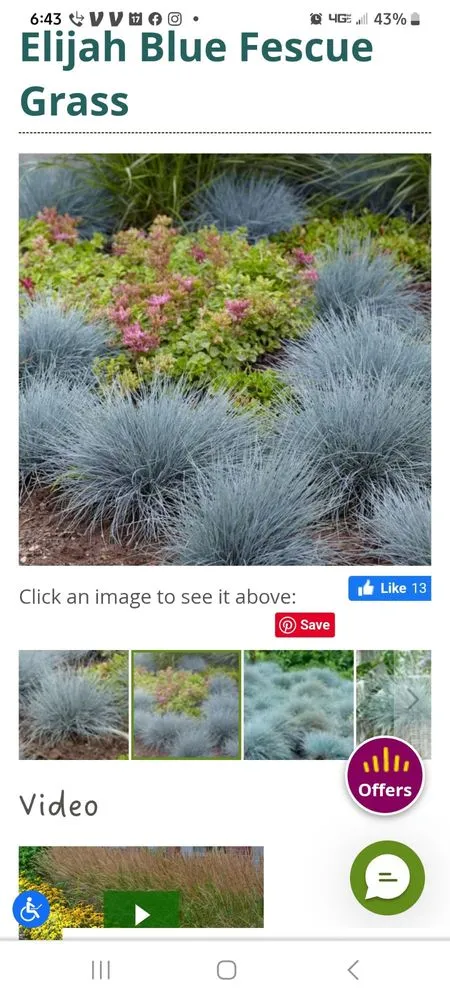 Professional lawn mowing service in Scarsdale, NY by Brian's Outdoor Designs