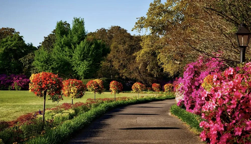 Affordable landscaping services in Vineland, NJ - Brian’s Power Washing and Lawn Mowing