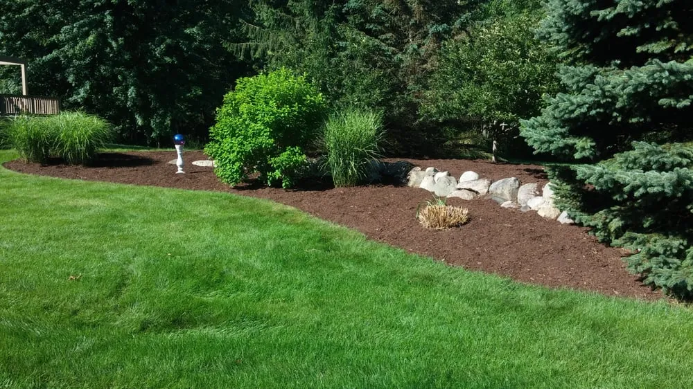 Reliable yard cleanup service in Chelsea, MI - Brian's Service