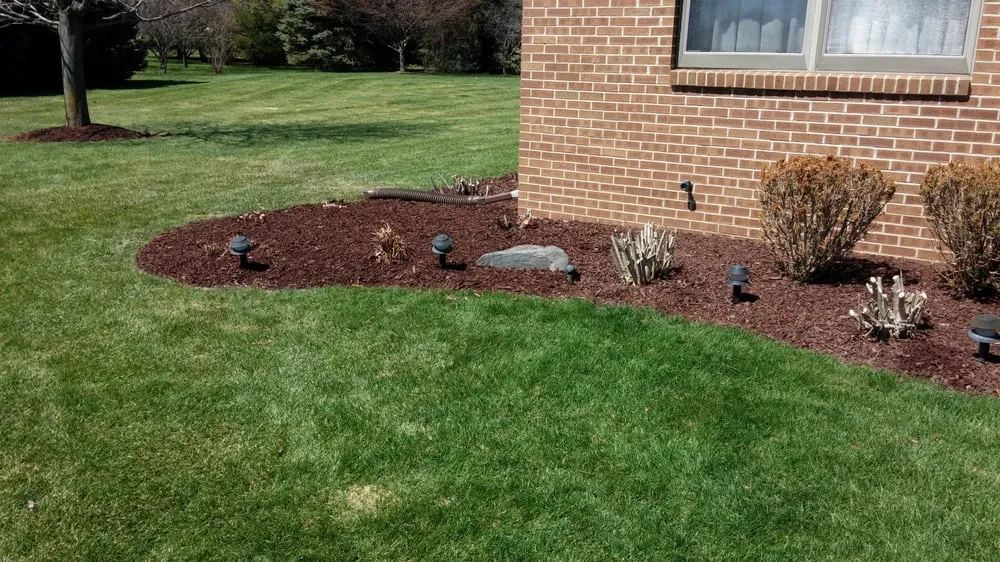 Reliable yard cleanup service near you in Chelsea, MI by Brian's Service