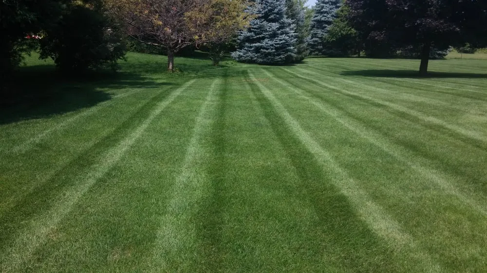 Local lawn care service in Chelsea, MI - Brian's Service