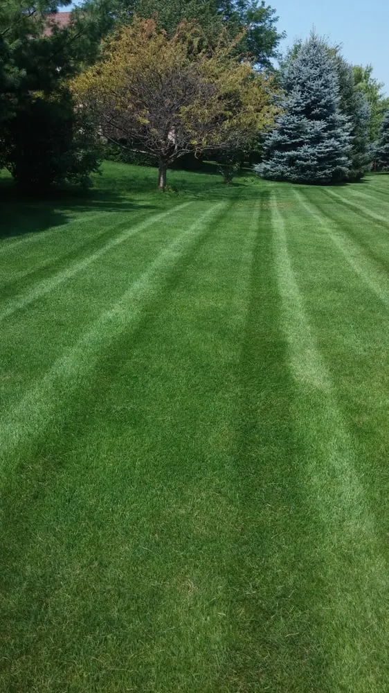 Custom yard maintenance in Chelsea, MI by Brian's Service
