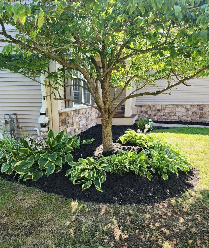 Trusted lawn care service experts serving Chelsea, MI - Brian's Service
