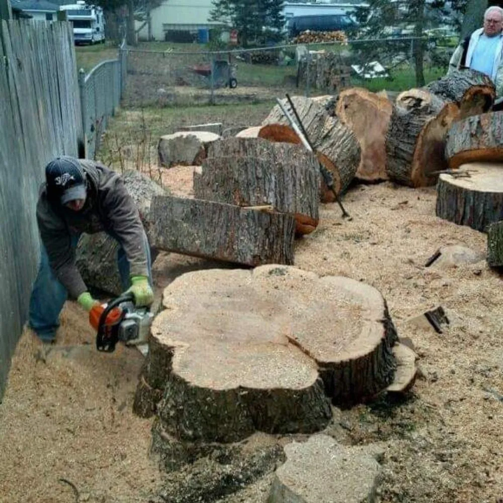 Expert outdoor landscaping for beautiful yards in Lake Orion, MI by Brian's Shrub and Tree
