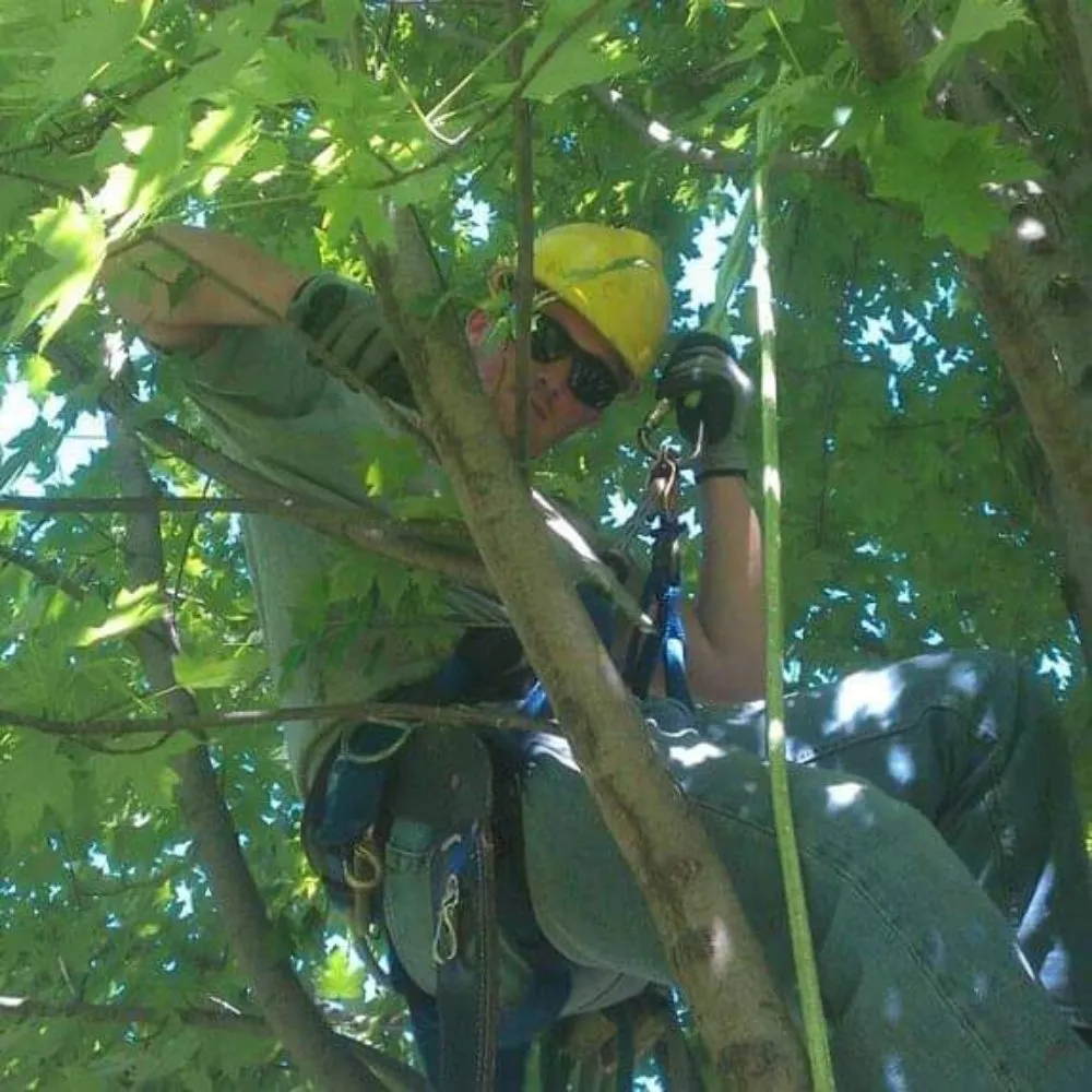 Reliable landscape installation in Lake Orion, MI by Brian's Shrub and Tree