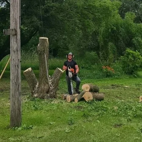 Trusted lawn care service experts serving Lake Orion, MI - Brian's Shrub and Tree