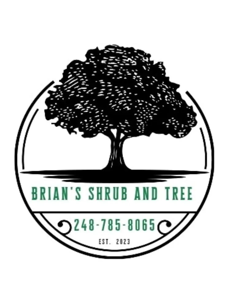 Expert residential landscaping with custom design in Lake Orion, MI by Brian's Shrub and Tree