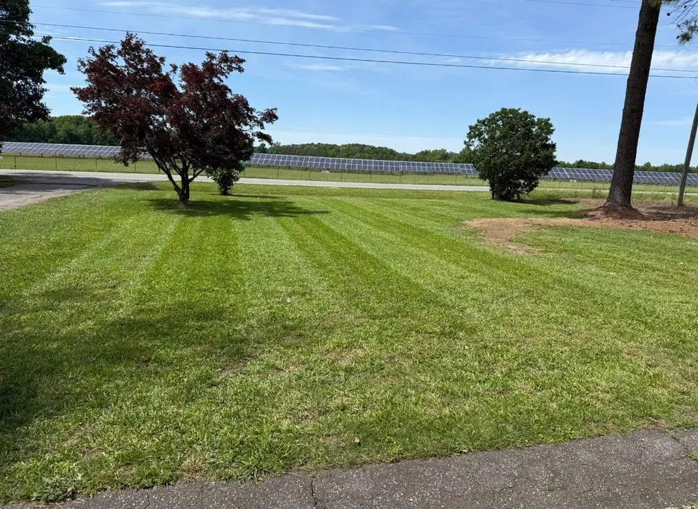 Local landscaping services for beautiful yards in Goldsboro, NC by Brian’s Southern Cuts