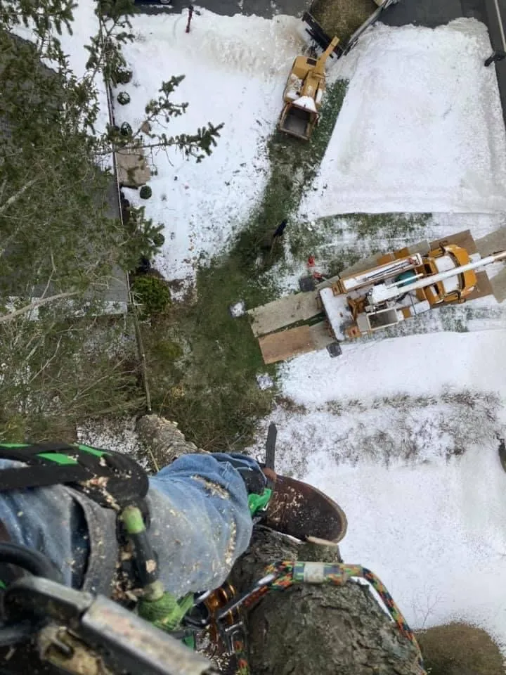 Local landscaping services in Charlton, NY by Brians stump grinding and tree service