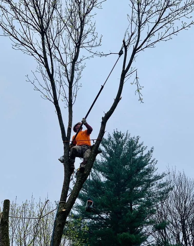 Custom outdoor landscaping in Charlton, NY - Brians stump grinding and tree service