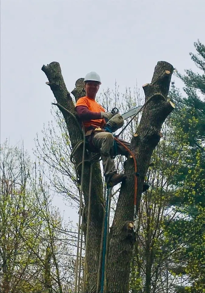Local outdoor landscaping experts serving Charlton, NY - Brians stump grinding and tree service