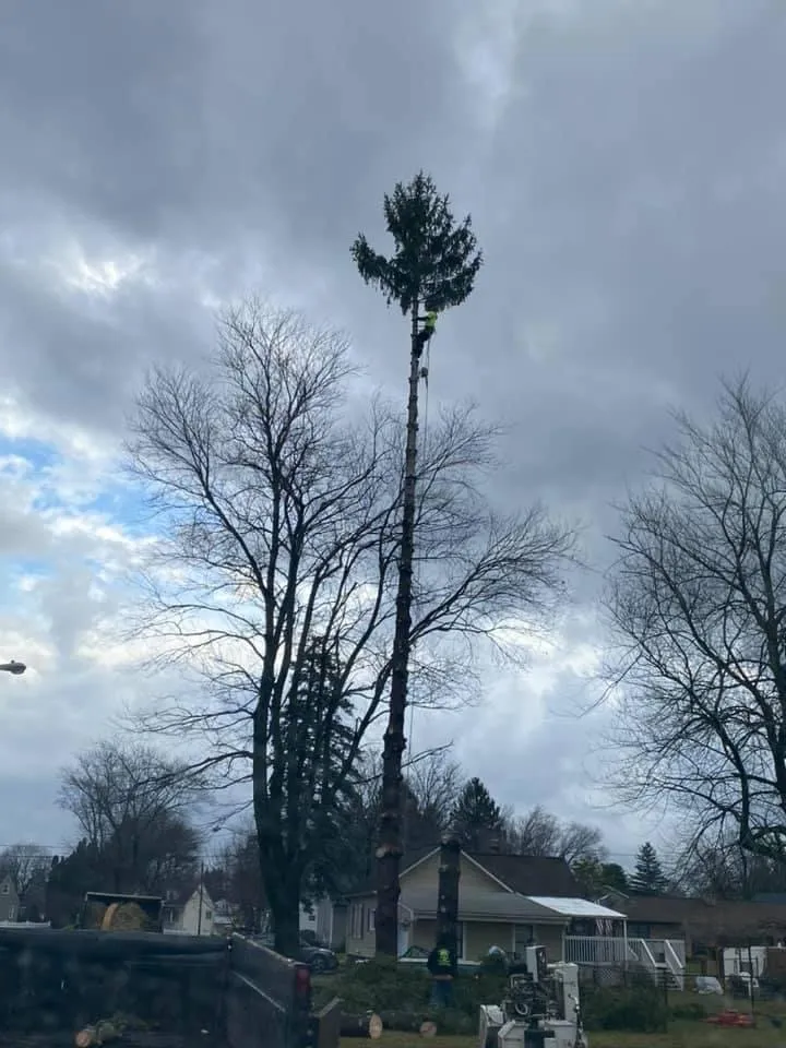 Affordable outdoor landscaping in Charlton, NY by Brians stump grinding and tree service