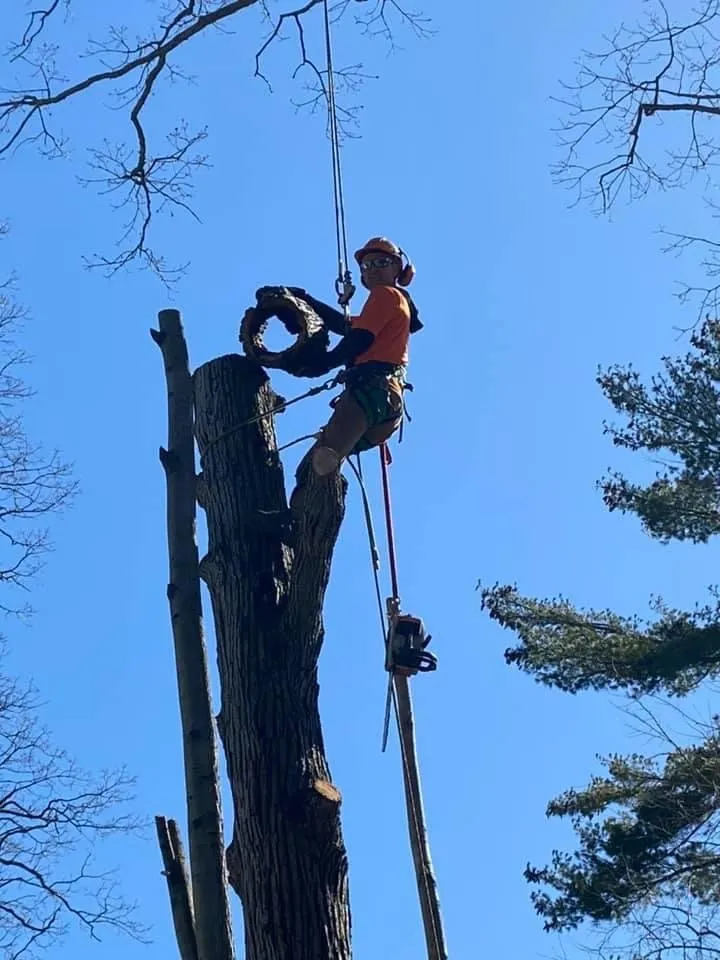 Expert lawn mowing service for outdoor upgrades across Charlton, NY - Brians stump grinding and tree service