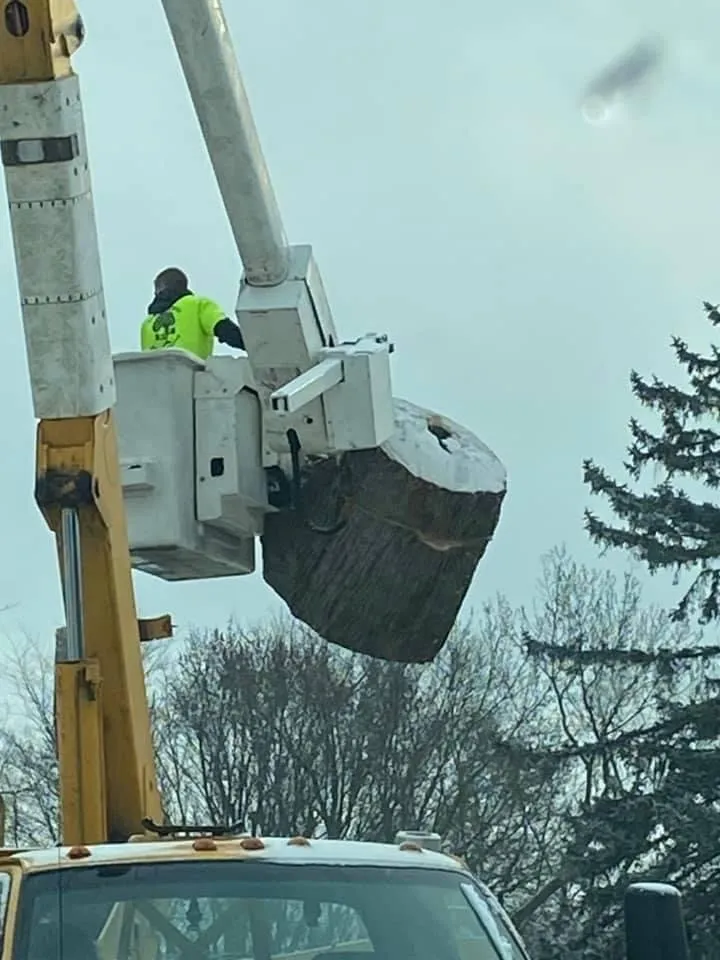 Expert yard cleanup service in Charlton, NY - Brians stump grinding and tree service