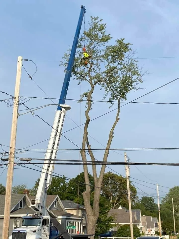 Expert outdoor landscaping in Charlton, NY - Brians stump grinding and tree service