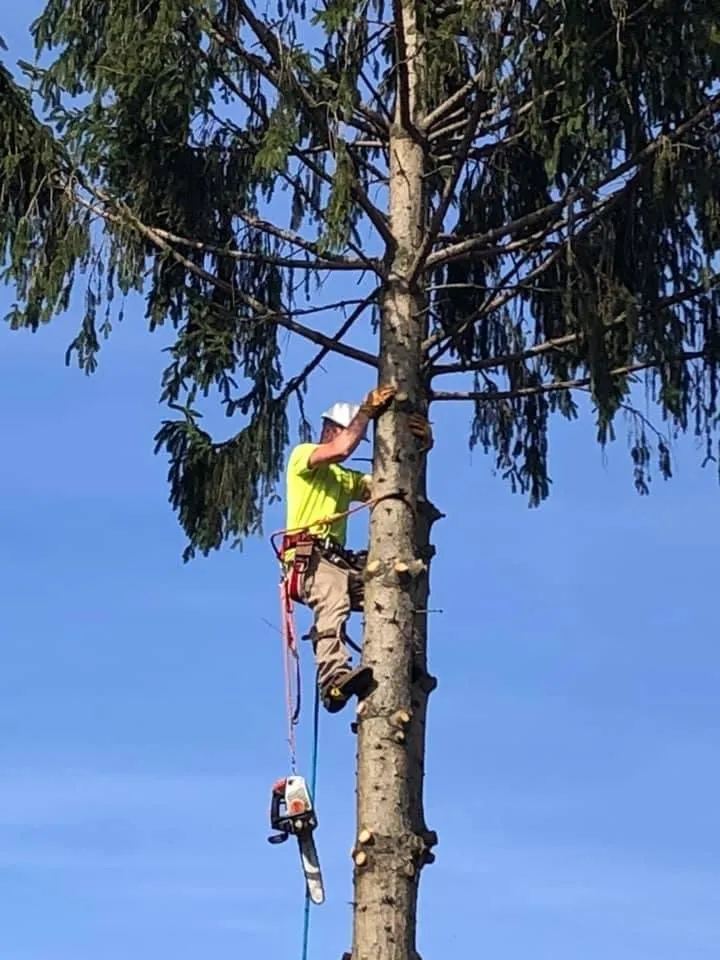 Custom landscaping services with custom design across Charlton, NY - Brians stump grinding and tree service