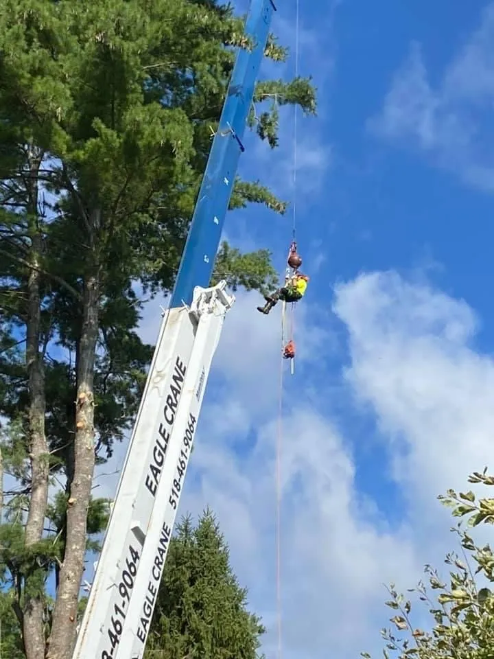 Custom landscape design experts serving Charlton, NY - Brians stump grinding and tree service