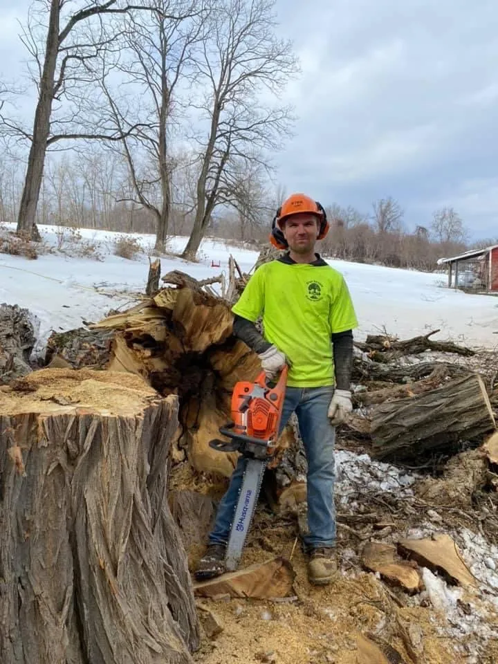 Local lawn care service for outdoor upgrades in Charlton, NY by Brians stump grinding and tree service