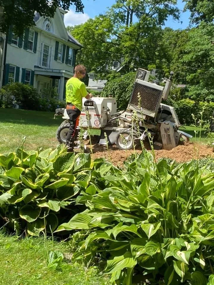 Local landscape installation in Charlton, NY - Brians stump grinding and tree service