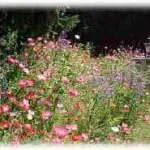 Custom outdoor landscaping in Edgewood, WA by Briar Group Inc., Your Hydroseeding Contractor