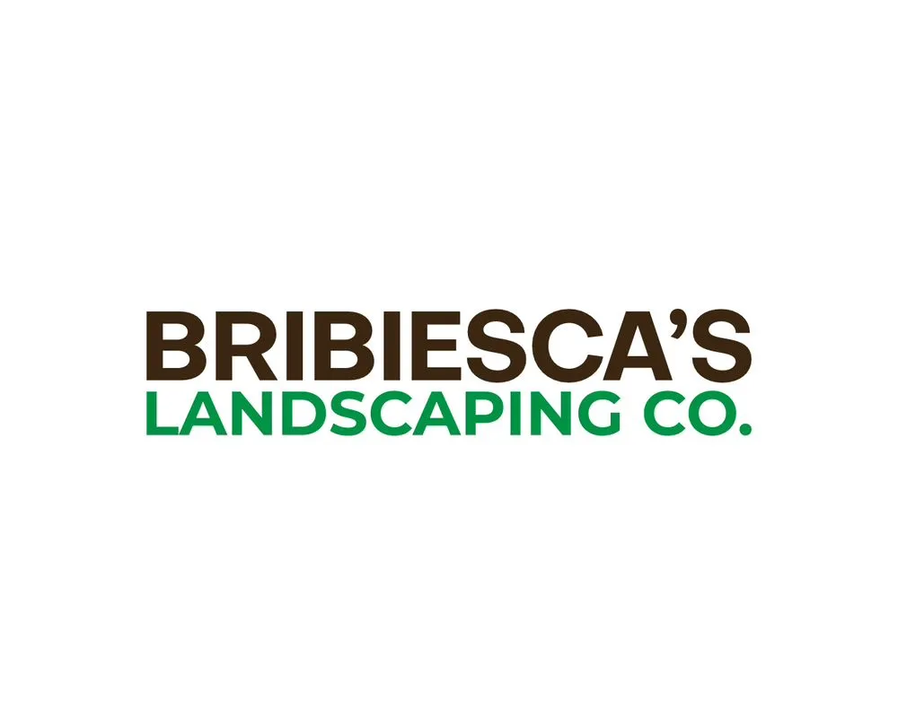 Affordable yard cleanup service in La Habra, CA by Bribiesca's Landscaping Co