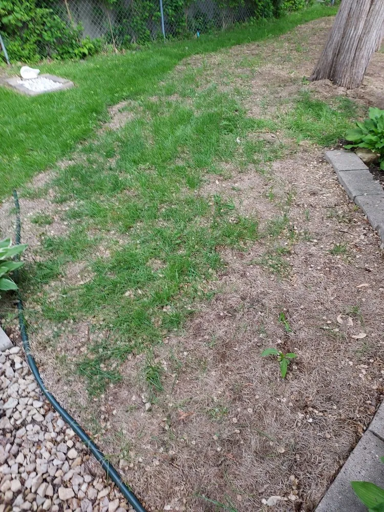 Expert outdoor landscaping in Lakeville, MN - Brice's Landscaping