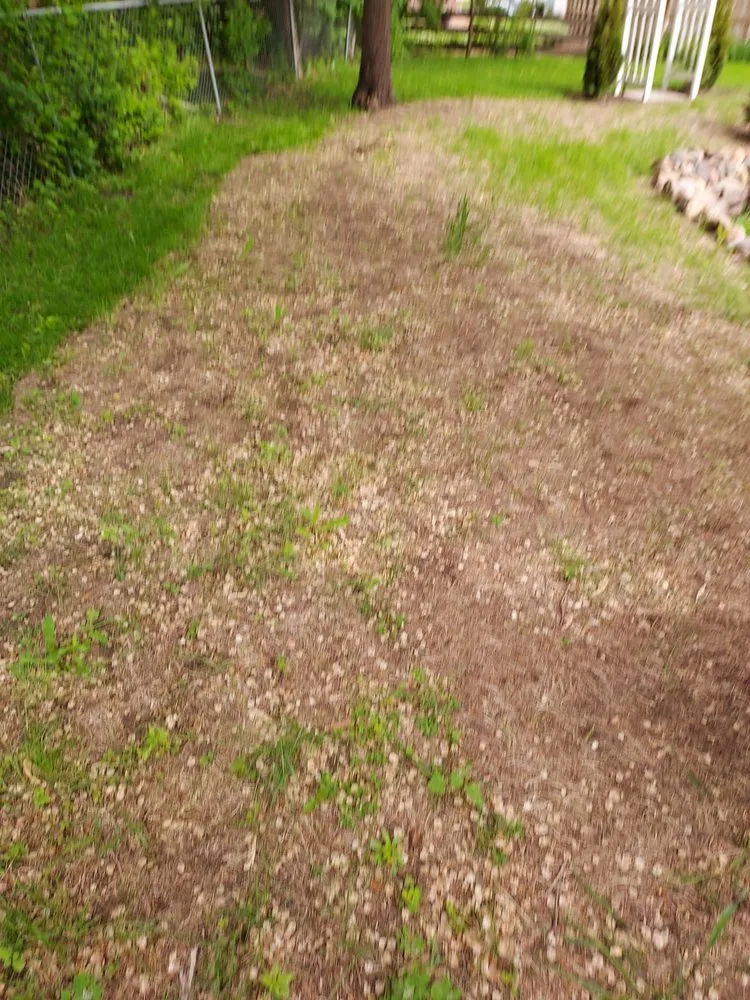 Reliable landscape installation in Lakeville, MN by Brice's Landscaping