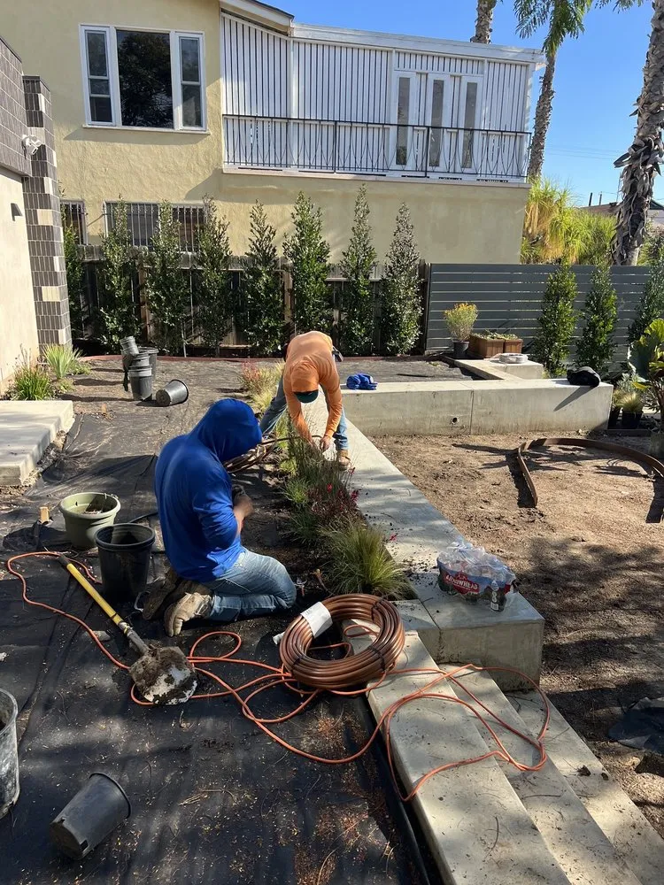 Trusted lawn care service for residential properties across Kagel Canyon, CA - Brick & Bloom