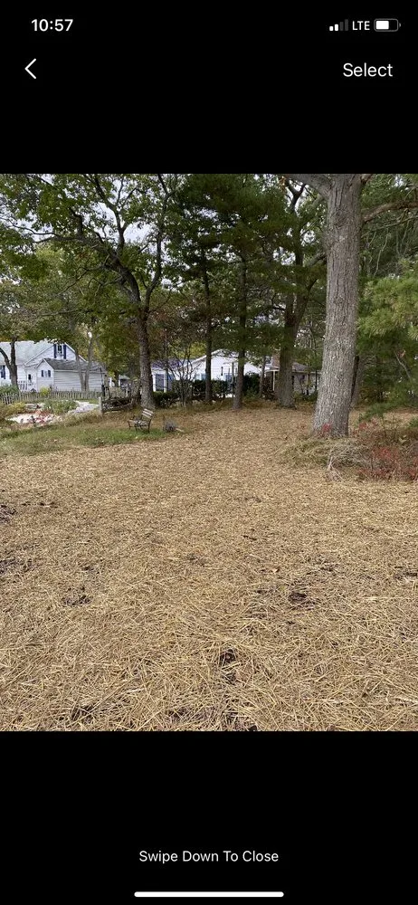 Trusted yard cleanup service for homes across Oscoda, MI - Brick & Boulder Landscaping