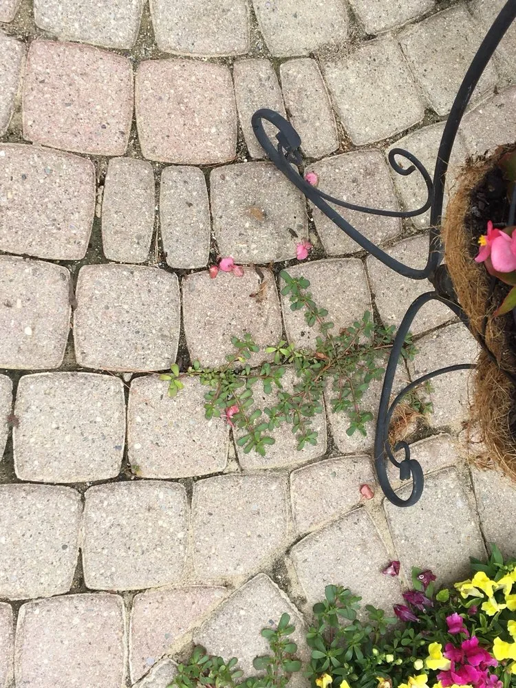 Affordable landscape installation experts serving Saline, MI - Brick Doctor Bill