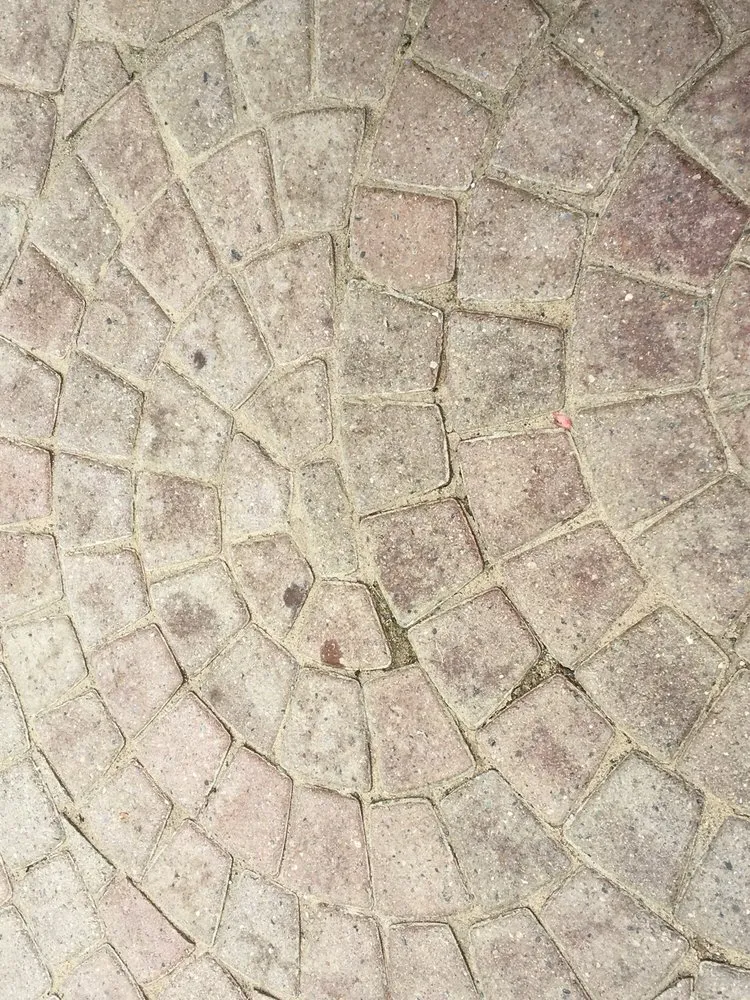 Trusted lawn mowing service in Saline, MI by Brick Doctor Bill