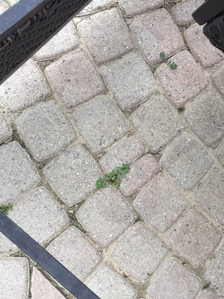 Local residential landscaping experts serving Saline, MI - Brick Doctor Bill