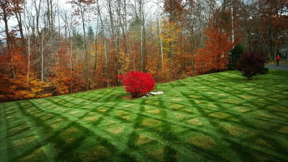 Professional lawn care service for residential properties across Lee, MA - Brick Hill Property Services