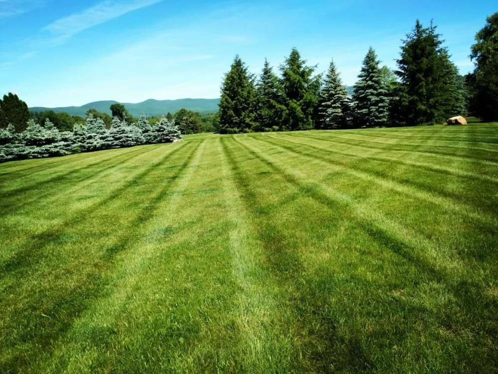 Trusted landscape installation for year-round maintenance in Lee, MA by Brick Hill Property Services