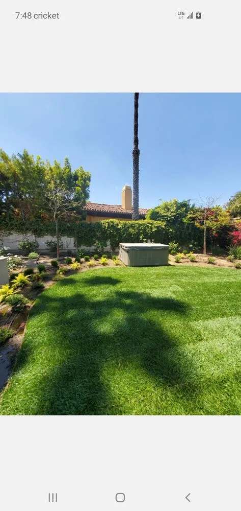 Affordable outdoor landscaping in Oceanside, CA by Bricker