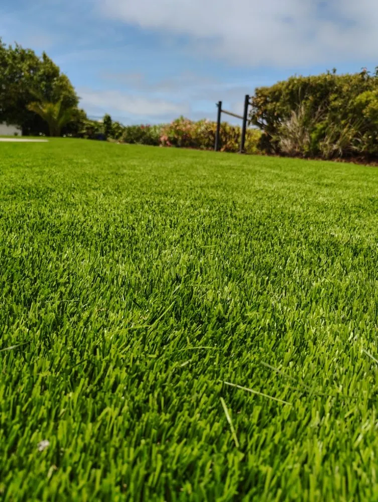 Local landscaping services in Oceanside, CA by Bricker