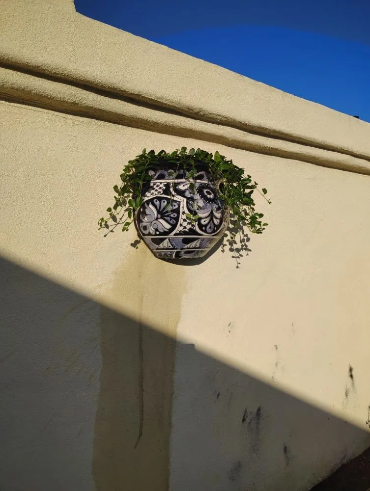 Reliable lawn mowing service for year-round maintenance in Oceanside, CA by Bricker